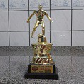 CONQUISTA INDIVIDUAL - FABIANO PRIM ARTILHEIRO